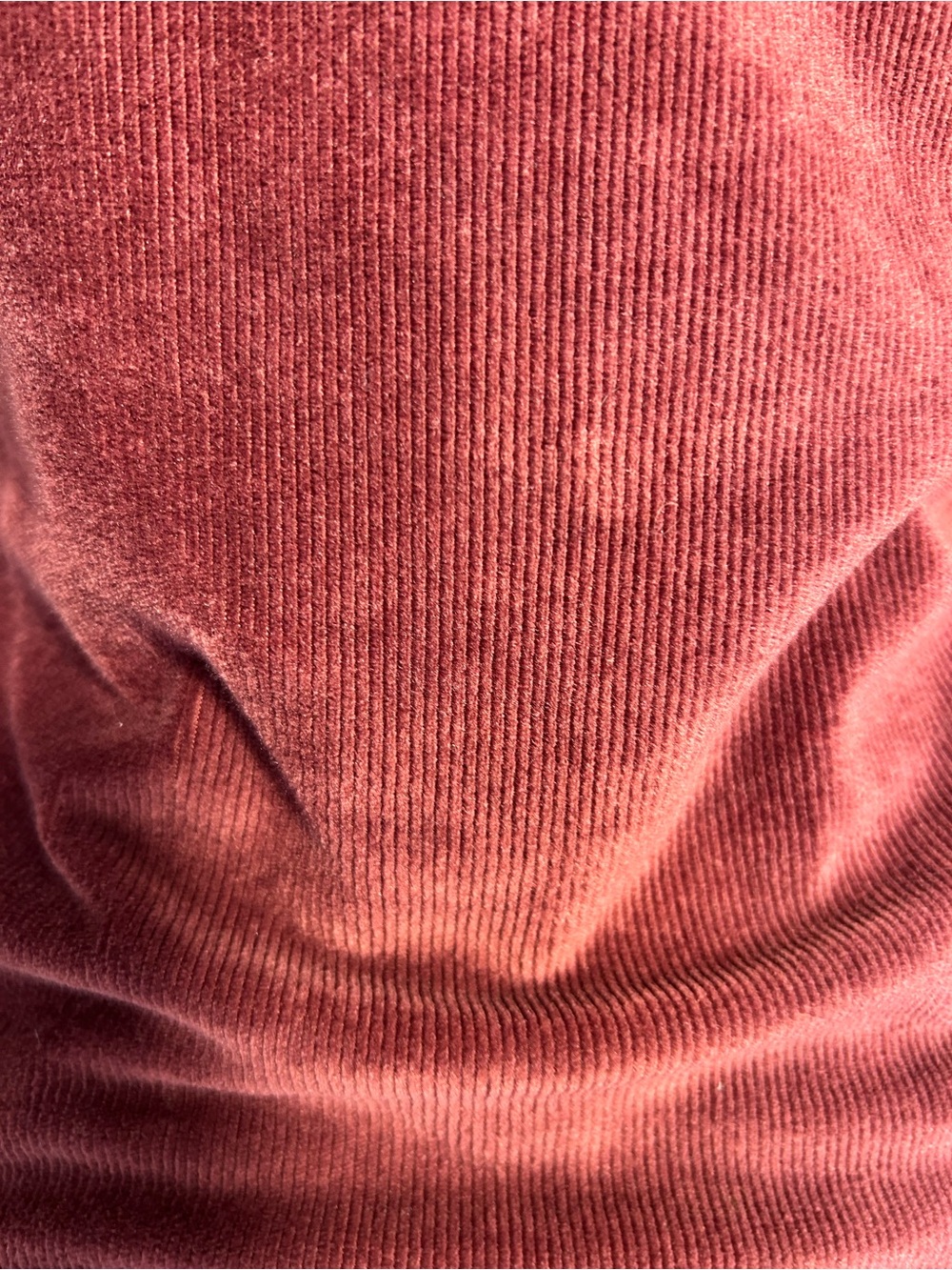 American Rag Burgundy, Rose Ribbed Velour Ruched Button Front Top - Size S - Picture 4 of 9